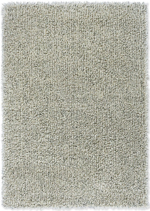 Brink & Campman | Ray Halm 158607 | Carpet | Online Tapijten